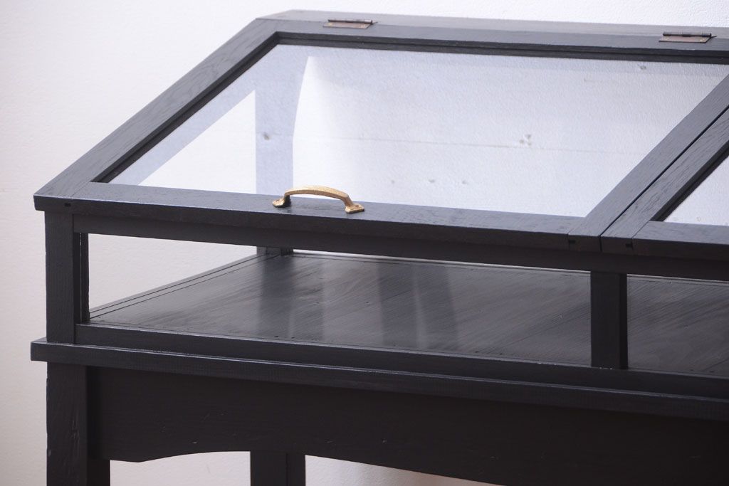 アンティーク家具　ペイント　扉(蓋)付きのアンティークガラスケース(ショーケース)