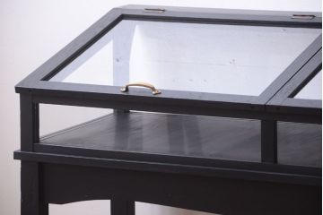 アンティーク家具　ペイント　扉(蓋)付きのアンティークガラスケース(ショーケース)