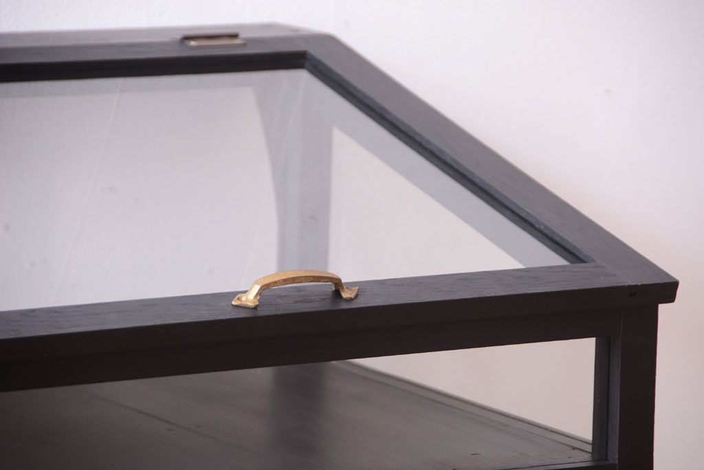 アンティーク家具　ペイント　扉(蓋)付きのアンティークガラスケース(ショーケース)