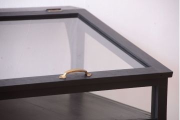アンティーク家具　ペイント　扉(蓋)付きのアンティークガラスケース(ショーケース)