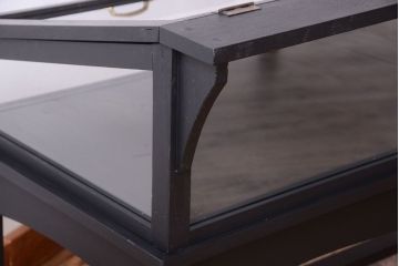 アンティーク家具　ペイント　扉(蓋)付きのアンティークガラスケース(ショーケース)