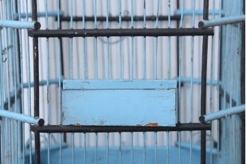 アンティーク雑貨　イギリス　アンティークバードケージ(鳥かご)