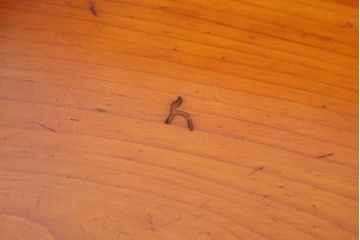 アンティーク雑貨　古い檜材のアンティーク小箱(木箱・小物収納箱)