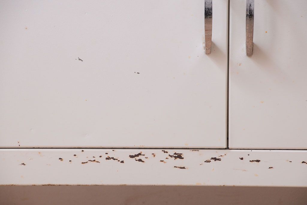 アンティーク家具　アンティーク　アイアンケビント(収納棚・キャビネット)