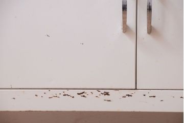 アンティーク家具　アンティーク　アイアンケビント(収納棚・キャビネット)