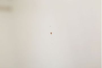アンティーク雑貨　古い酒屋さんの大きな鏡(木製フレーム)