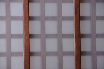 古民具・骨董　すりガラス入り　上質な和製アンティーク格子蔵戸(玄関戸)