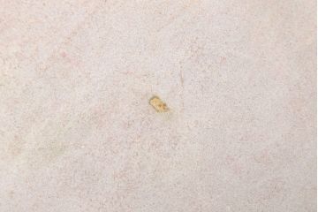 アンティーク雑貨　アンティーク　大ぶりサイズ!カウラグ(カーペット・敷物)