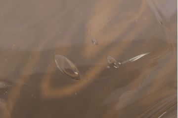 アンティーク雑貨　和製アンティーク　台付き!昭和レトロな3連ガラス瓶(猫瓶)