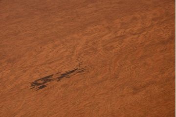 アンティーク家具　個性的なデザイン!彫刻入りの大きなアンティークサイドボード