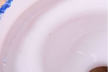 被せガラスが美しい和製アンティークの天井照明(ガラスシェード)