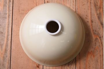 オールドノリタケ(日陶)　柿の絵柄入り　吊り下げ照明(ランプ・シェード)