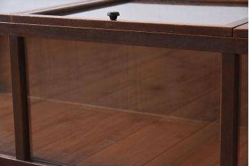 アンティーク家具　アンティーク　欅材　上蓋開き扉の小ぶりな横型ガラスケース(1)