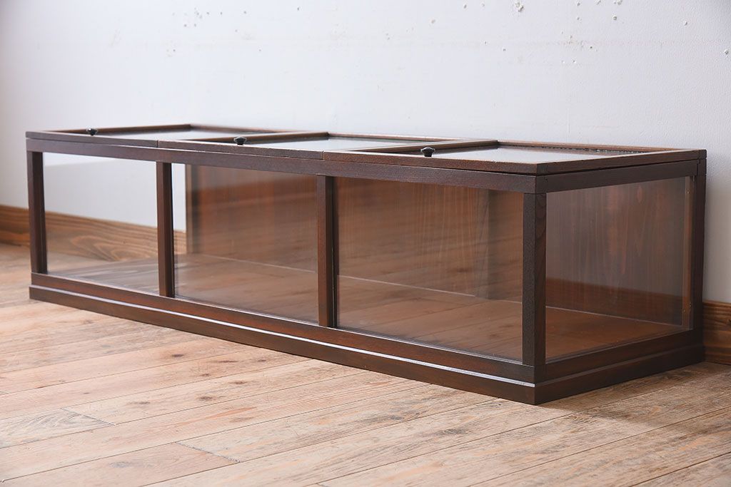 アンティーク家具　アンティーク　ケヤキ材　上蓋開き扉の小ぶりな横型ガラスケース(2)