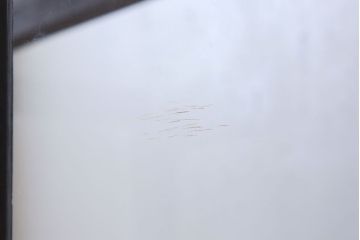 アンティーク家具　栗材製　アンティークの薄型ガラスケース