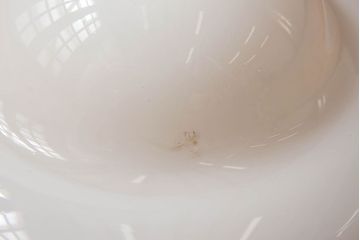 昭和レトロ　白いガラス　古い天井照明(電笠照明)(2)