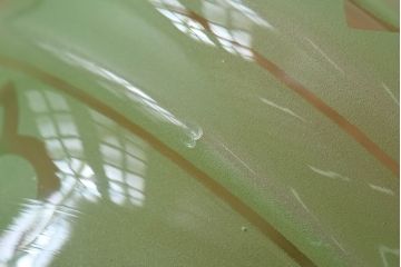 フランスアンティーク　すりガラスシェードのペンダントライト(天井照明)(2)