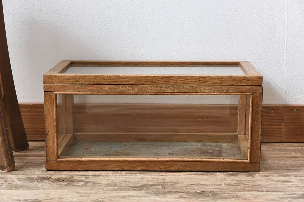 アンティーク家具　アンティーク　ナラ材　小ぶりな横型ガラスケース(ショーケース)