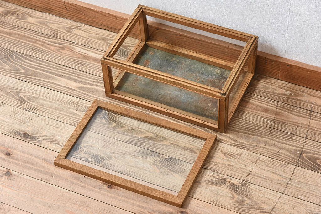 アンティーク家具　アンティーク　ナラ材　小ぶりな横型ガラスケース(ショーケース)