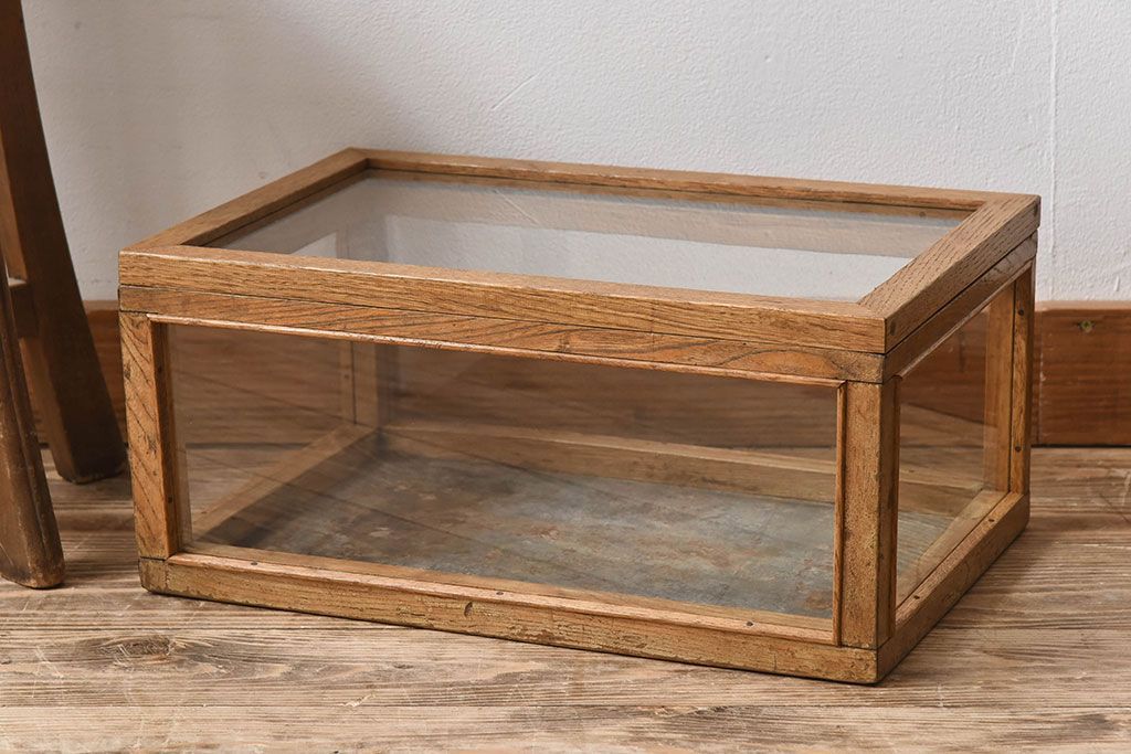 アンティーク家具　アンティーク　ナラ材　小ぶりな横型ガラスケース(ショーケース)