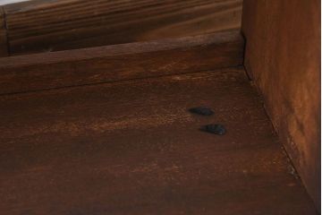 アンティーク家具　アンティーク　ラワン材製　古い木の本棚(飾り棚・ディスプレイラック)