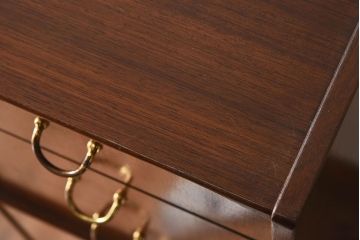 ヴィンテージ家具　G-PLAN　北欧ビンテージ　BBシリーズ　ハンガー掛け付きキャビネット(ワードローブ)