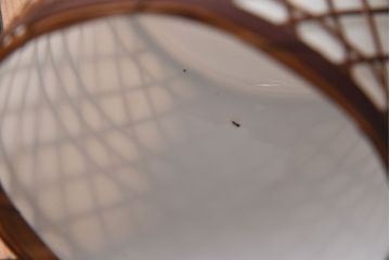 アンティーク　和風でお洒落な天井照明(吊り下げ照明)