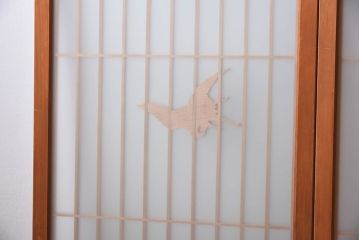 松竹梅・鶴亀の彫刻　アンティーク　ガラス入り書院戸(書院障子)4枚セット