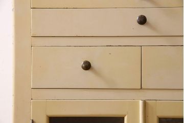 アンティーク家具　和製アンティーク　オリジナルペイントのシャビーなデンタルキャビネット