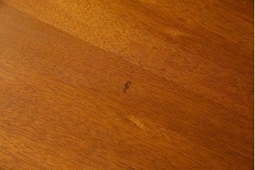 北欧家具　機能性に優れたライティングビューロー(キャビネット、収納棚)