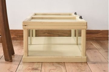 アンティーク雑貨　アンティークペイント　小さな卓上ガラスケース(コレクションケース)(1)