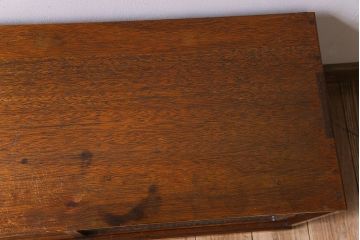 アンティーク家具　アンティーク　モールガラス引き戸のシンプルで小さなローボード(収納棚)