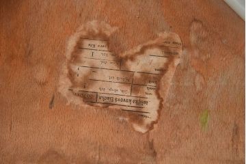 ヴィンテージ家具　ビンテージ　シンプルでデザインのスクールチェア(キッズチェア、椅子)(3)