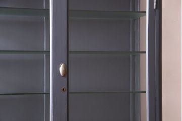 ペイント家具　落ちつきのあるカラーのケビント(ガラスケース、デンタルケース)