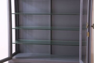 ペイント家具　落ちつきのあるカラーのケビント(ガラスケース、デンタルケース)