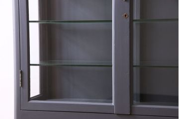 ペイント家具　落ちつきのあるカラーのケビント(ガラスケース、デンタルケース)