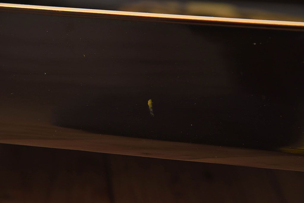 アンティーク雑貨　古民具・骨董　高級品!牡丹の蒔絵が漆塗りに良く映える盆(トレー)2枚セット