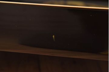 アンティーク雑貨　古民具・骨董　高級品!牡丹の蒔絵が漆塗りに良く映える盆(トレー)2枚セット