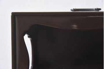 アンティーク雑貨　古民具・骨董　外箱付き　富士の蒔絵が描かれた漆重箱(野弁当箱)