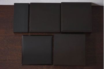 アンティーク雑貨　古民具・骨董　外箱付き　富士の蒔絵が描かれた漆重箱(野弁当箱)