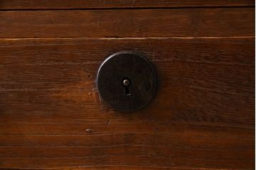 アンティーク家具　和製アンティーク　美しい結霜ガラス入りの箪笥ローボード(ローチェスト、収納棚)