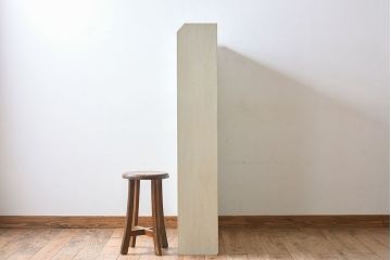 ペイント家具　さわやかなカラーが素敵な本棚(飾り棚、収納棚、ディスプレイラック、ブックケース)