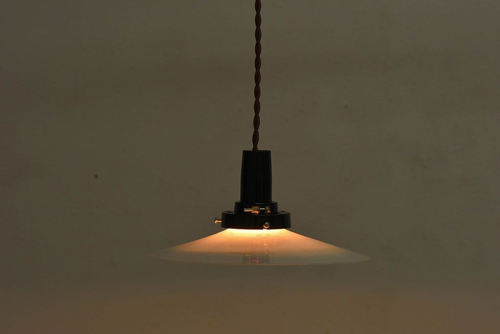 和製アンティーク　レトロな味わいの天井照明(電笠照明)(1)