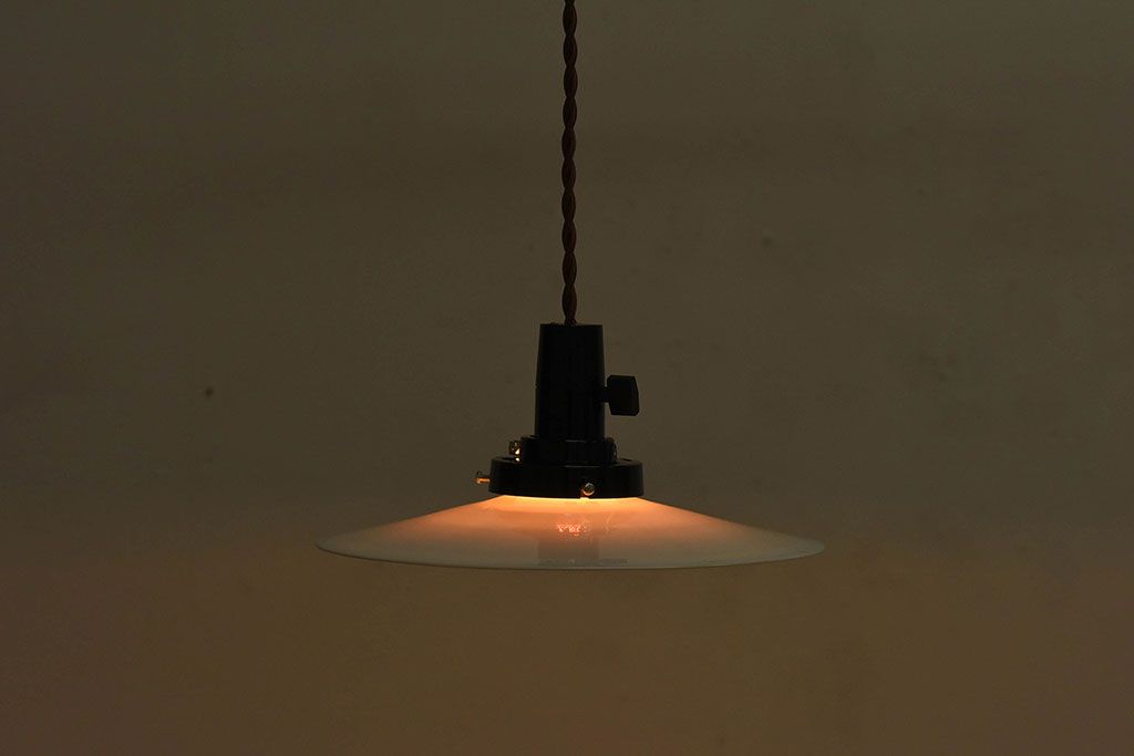 和製アンティーク　レトロな味わいの天井照明(電笠照明)(2)