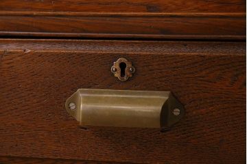 レトロ家具　和製アンティーク　レトロな雰囲気が魅力的な小振りな本箱(収納棚、ブックケース)