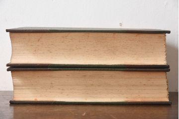 アンティーク雑貨　イギリスアンティーク　The Historians' History of the World　本(洋書、古書、英字本)2冊セット