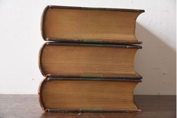 アンティーク雑貨　イギリスアンティーク　The Historians' History of the World　本(洋書、古書、英字本)3冊セット