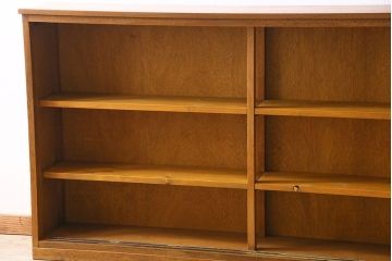 レトロ家具　昭和レトロ　薄型　モール・すりガラス入りの収納棚(戸棚、食器棚、本箱、ブックケース)