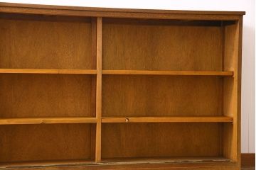 レトロ家具　昭和レトロ　薄型　モール・すりガラス入りの収納棚(戸棚、食器棚、本箱、ブックケース)