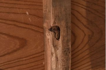 アンティーク家具　古民具・骨董　最上級品　総欅材製の越後帳場箪笥(銭戸棚、収納箪笥)